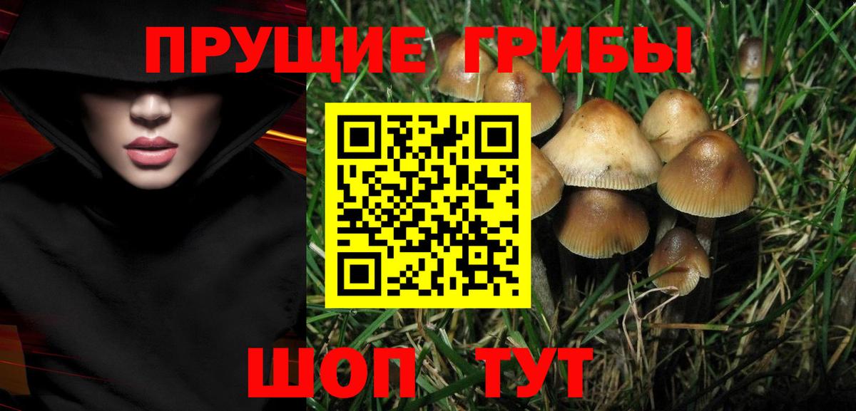 Тамбов  Псилоцибиновые грибы мухоморы  Вход с VPN  Галлюциногенные грибы Cubensis 